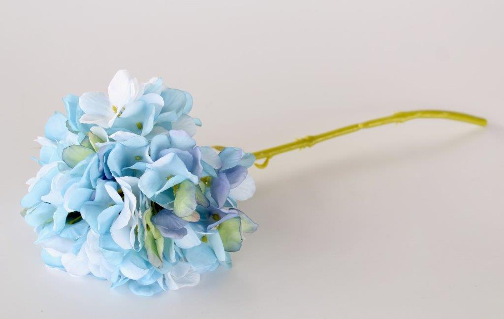 BLUE HYDRANGEA STEM  MIN 6  36CM